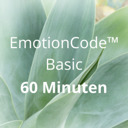 EmotionCode™️ Basic 60 Minuten