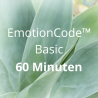 EmotionCode™️ - Basic 60 Minuten