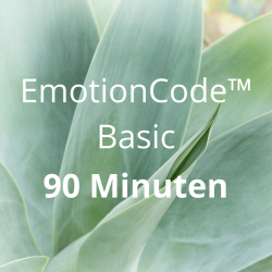 EmotionCode™️ - Basic 90 Minuten