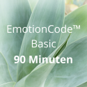 EmotionCode™️ - Basic 90 Minuten